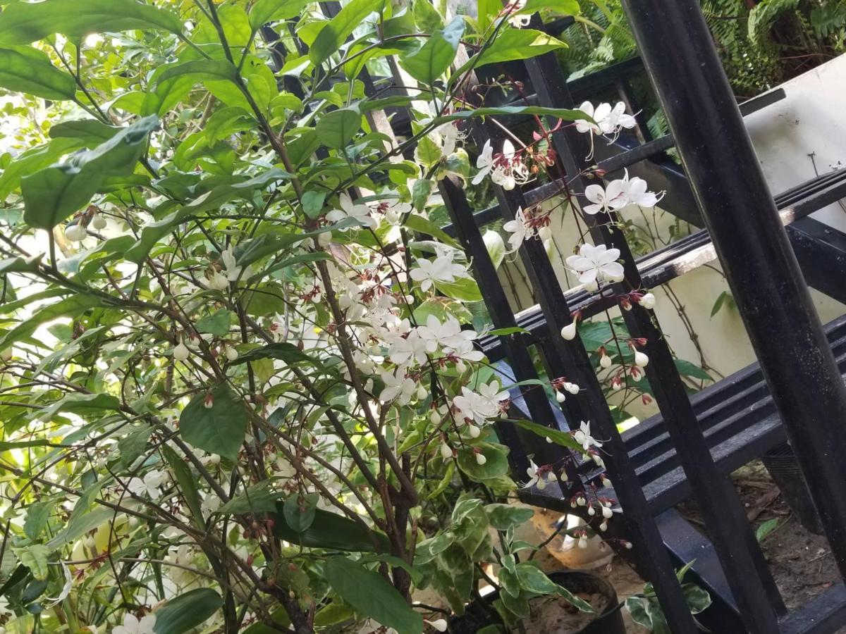 海雾海洋别墅 会安 外观 照片